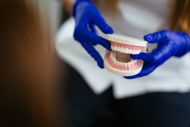 Why Choose Us for Your Dental Needs in Bellview, FL